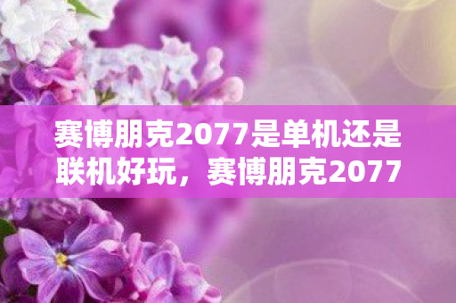 赛博朋克2077是单机还是联机好玩，赛博朋克2077，单机与联机的抉择