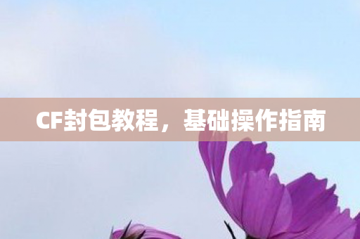 CF封包教程，基础操作指南