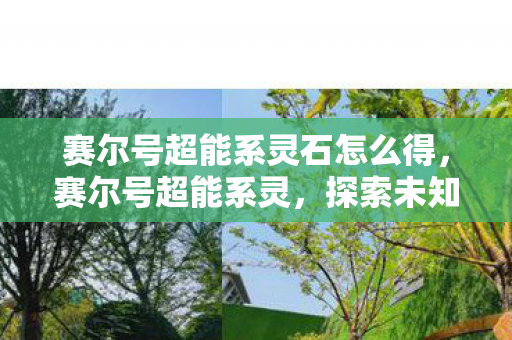 赛尔号超能系灵石怎么得，赛尔号超能系灵，探索未知世界的奇妙之旅