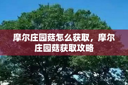 摩尔庄园菇怎么获取，摩尔庄园菇获取攻略