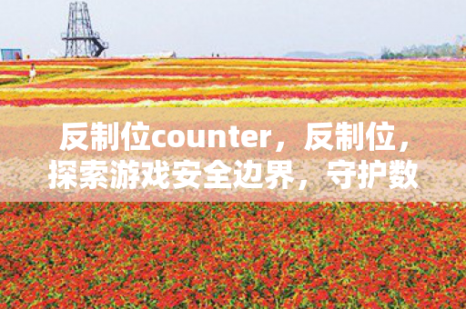 反制位counter,反制位,探索游戏安全边界,守护数字娱乐净土 反制位counter,反制位,探索游戏安全边界,守护数字娱乐净土