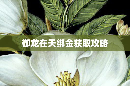 御龙在天绑金获取攻略 御龙在天绑金获取攻略