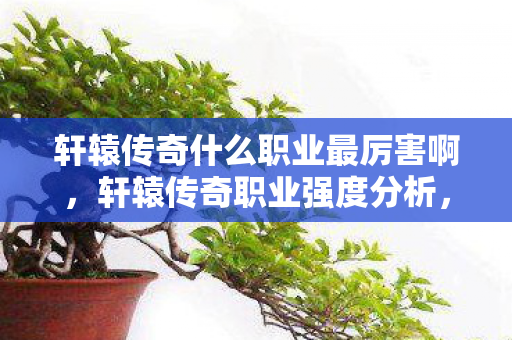 轩辕传奇什么职业最厉害啊，轩辕传奇职业强度分析，揭秘最强职业