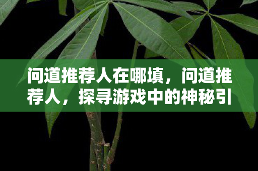 问道推荐人在哪填,问道推荐人,探寻游戏中的神秘引路人 问道推荐人在哪填,问道推荐人,探寻游戏中的神秘引路人