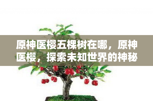 原神医樱五棵树在哪,原神医樱,探索未知世界的神秘之旅 原神医樱五棵树在哪,原神医樱,探索未知世界的神秘之旅