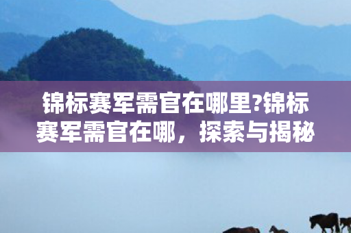 锦标赛军需官在哪里?锦标赛军需官在哪,探索与揭秘 锦标赛军需官在哪里?锦标赛军需官在哪,探索与揭秘