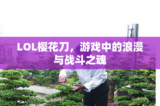 LOL樱花刀，游戏中的浪漫与战斗之魂