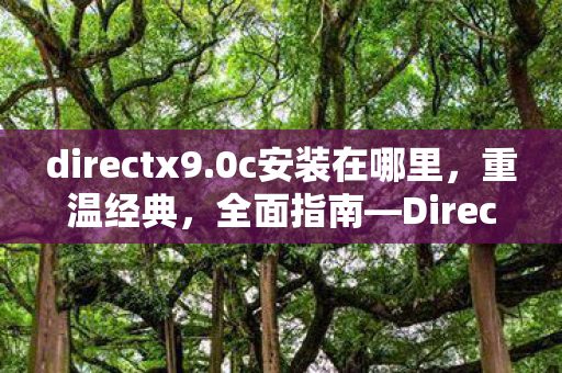 directx9.0c安装在哪里，重温经典，全面指南—DirectX 9.0c安装与配置