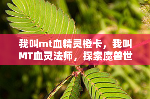 我叫mt血精灵橙卡，我叫MT血灵法师，探索魔兽世界的奇幻之旅
