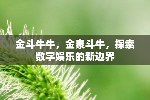 金斗牛牛,金豪斗牛,探索数字娱乐的新边界 金斗牛牛,金豪斗牛,探索数字娱乐的新边界