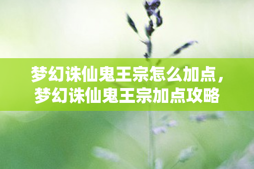 梦幻诛仙鬼王宗怎么加点，梦幻诛仙鬼王宗加点攻略