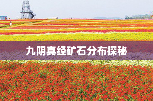 九阴真经矿石分布探秘