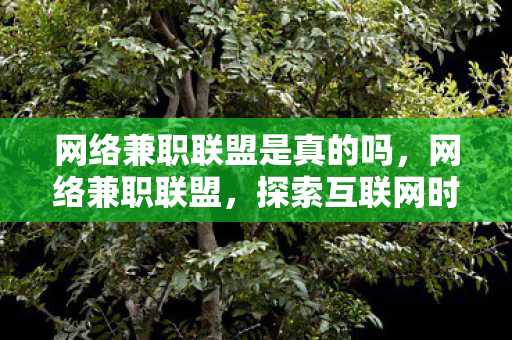 网络兼职联盟是真的吗，网络兼职联盟，探索互联网时代的灵活就业新机遇