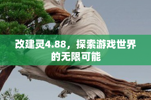 改建灵4.88,探索游戏世界的无限可能 改建灵4.88,探索游戏世界的无限可能