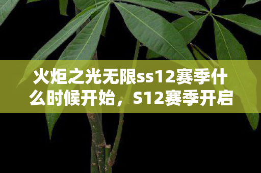 火炬之光无限ss12赛季什么时候开始，S12赛季开启时间揭秘，电竞迷的狂欢盛宴即将来临