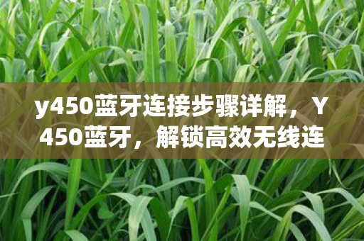y450蓝牙连接步骤详解，Y450蓝牙，解锁高效无线连接的秘密