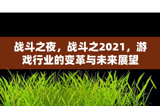 战斗之夜，战斗之2021，游戏行业的变革与未来展望