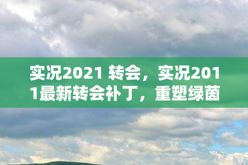 实况2021 转会，实况2011最新转会补丁，重塑绿茵场的传奇