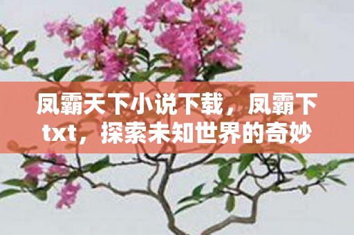 凤霸天下小说下载，凤霸下txt，探索未知世界的奇妙之旅