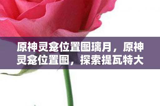 原神灵龛位置图璃月,原神灵龛位置图,探索提瓦特大陆的神秘圣地 原神灵龛位置图璃月,原神灵龛位置图,探索提瓦特大陆的神秘圣地