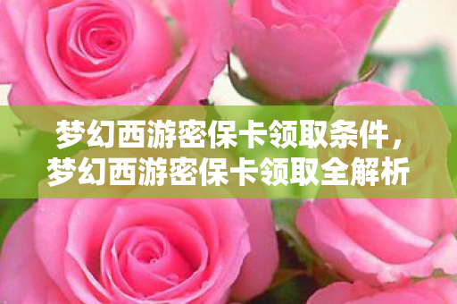梦幻西游密保卡领取条件，梦幻西游密保卡领取全解析，安全、便捷、高效