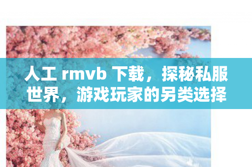 人工 rmvb 下载，探秘私服世界，游戏玩家的另类选择