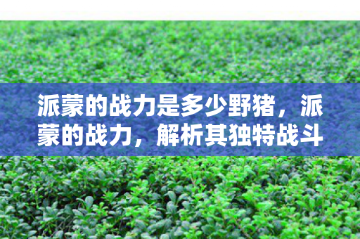 派蒙的战力是多少野猪,派蒙的战力,解析其独特战斗体系与角色定位 派蒙的战力是多少野猪,派蒙的战力,解析其独特战斗体系与角色定位