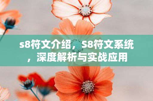 s8符文介绍，S8符文系统，深度解析与实战应用