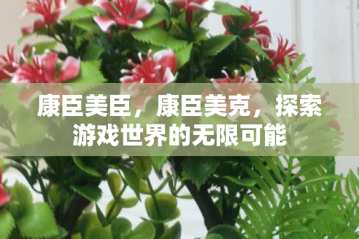 康臣美臣，康臣美克，探索游戏世界的无限可能