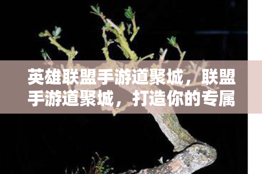 英雄联盟手游道聚城，联盟手游道聚城，打造你的专属游戏乐园