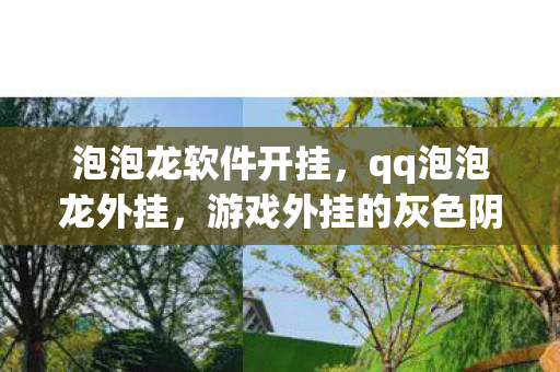 泡泡龙软件开挂，qq泡泡龙外挂，游戏外挂的灰色阴影