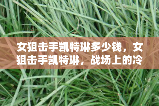 女狙击手凯特琳多少钱，女狙击手凯特琳，战场上的冷艳玫瑰