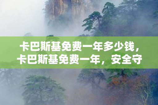 卡巴斯基免费一年多少钱，卡巴斯基免费一年，安全守护，无需付费的盛宴