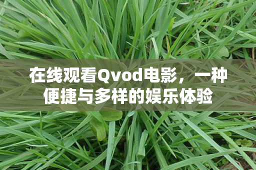 在线观看Qvod电影，一种便捷与多样的娱乐体验
