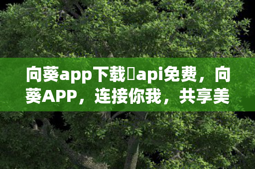 向葵app下载汅api免费，向葵APP，连接你我，共享美好