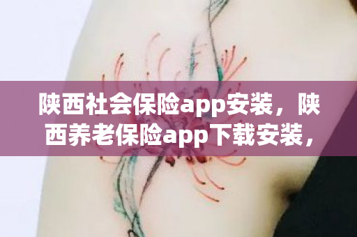 陕西社会保险app安装，陕西养老保险app下载安装，便捷高效，服务民生