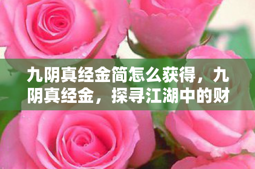 九阴真经金简怎么获得，九阴真经金，探寻江湖中的财富与传奇