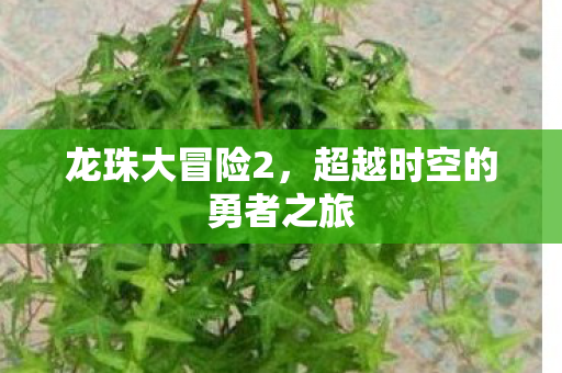 龙珠大冒险2，超越时空的勇者之旅