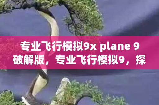 专业飞行模拟9x plane 9破解版,专业飞行模拟9,探索虚拟天空的无限可能 专业飞行模拟9x plane 9破解版,专业飞行模拟9,探索虚拟天空的无限可能