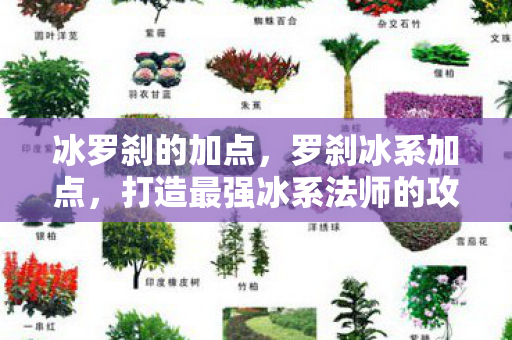 冰罗刹的加点，罗刹冰系加点，打造最强冰系法师的攻略