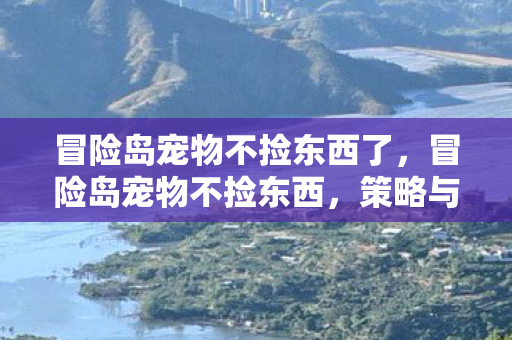 冒险岛宠物不捡东西了，冒险岛宠物不捡东西，策略与乐趣的平衡