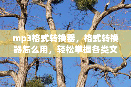 mp3格式转换器，格式转换器怎么用，轻松掌握各类文件转换技巧