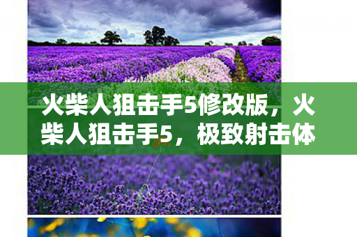 火柴人狙击手5修改版,火柴人狙击手5,极致射击体验与策略战术的完美结合 火柴人狙击手5修改版,火柴人狙击手5,极致射击体验与策略战术的完美结合