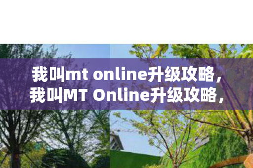 我叫mt online升级攻略，我叫MT Online升级攻略，打造最强阵容，征服副本与竞技场
