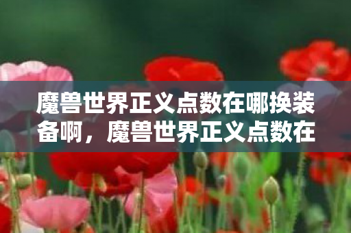 魔兽世界正义点数在哪换装备啊，魔兽世界正义点数在哪换装备