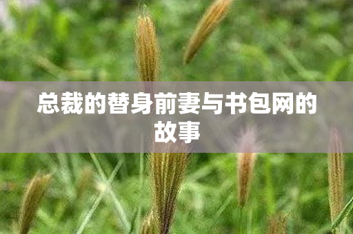 总裁的替身前妻与书包网的故事 总裁的替身前妻与书包网的故事