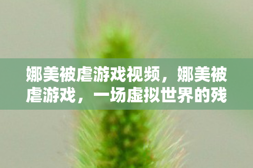 娜美被虐游戏视频，娜美被虐游戏，一场虚拟世界的残酷挑战