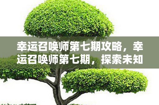 幸运召唤师第七期攻略，幸运召唤师第七期，探索未知，挑战极限