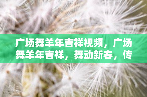 广场舞羊年吉祥视频，广场舞羊年吉祥，舞动新春，传递幸福