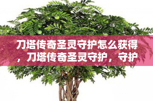 刀塔传奇圣灵守护怎么获得，刀塔传奇圣灵守护，守护之力，传奇再现